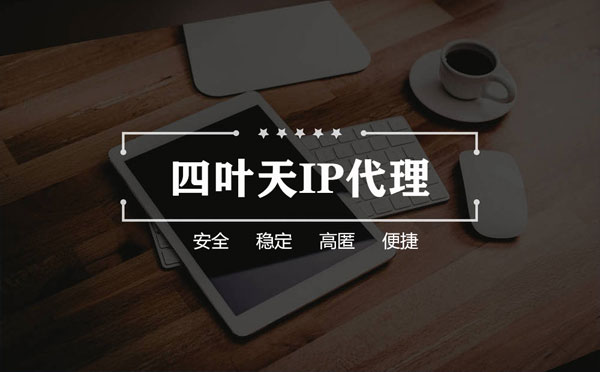 【宁德代理IP】如何快速搭建代理IP？怎么检查代理的效果？