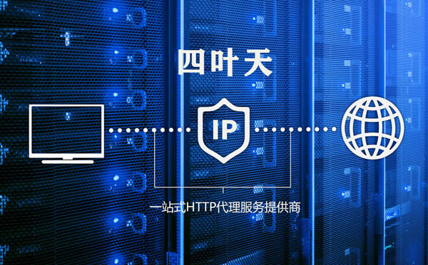 【宁德代理IP】使用代理IP遇到的常见问题汇总